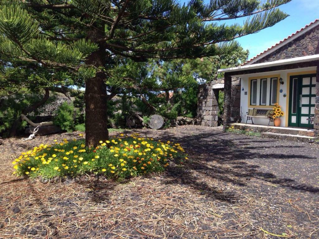 Casa Da Costa Villa Мадалена Екстериор снимка